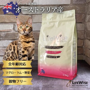 tBbV  t[ I[XgA Lbgt[h Y i AM[  hC  h{H sgp OCt[ H hCt[h Lp v~