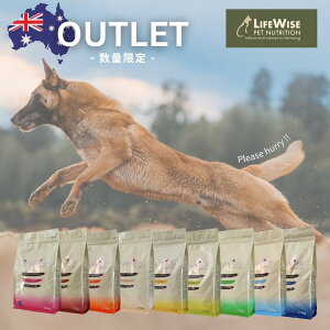 yʌzCtCY@AEgbg@ʌ@̔@艿i@I[XgAY@hbOt[h@Lbgt[h@t[hX@ܖ2026.03@2.5kg@@󂠂@