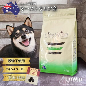 `L&^[L[ I[XgA hbOt[h Y i AM[  hC sgp t[ OCt[ { SΉ ^ ^@^  VjA 