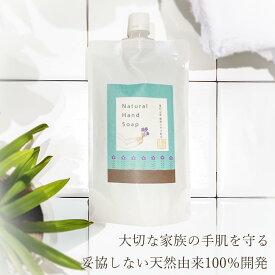 【天然成分100%】FK ハンドソープ 280mL 福知山キキョウ | 詰替え用 業務用 本体 敏感肌 石けん 弱アルカリ 肌に優しい 泡タイプ 無添加手に優しい ばい菌 液体 さっぱり 除菌 天然 福知山 桔梗 大容量 業務用詰替え 手洗い 石鹸 詰替え 精油 成分 詰め替え 送料無料