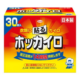 スーパーSALE実施中★P最大47.5倍】ホッカイロ 貼る レギュラー 30個入