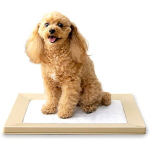 �y�労�ӍՊJ�Ò����|�C���g�ő�47�{�z�A�C���X�I�[���}(IRIS OHYAMA) �� �g�C�� �X�N�G�A�h�b�O�g���[ ���ނ��� �}�O�l�b�g ���M�����[ �x�[�W�� ���􂢉�