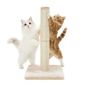 L oo߂Ƃ|[  x[W M[