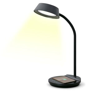 yߓd΍z yڂɗDz ACXI[} fXNCg u [d QiCX[d USBd|[gt F3iK iK F LDL-QFDL-B ubN