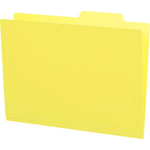 RN(KOKUYO) t@C ʃtH_[ PP A4 5  A4-IFH-Y