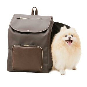 yBLAC FRIDAY|Cgő47{zACXI[} ybgL[ L L[ L L[ OłybgbN яoh~[h P-MPR350 uE