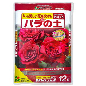 y12/4 20`byVX[p[SALEbPő47{zԂ o̓y Y҂F߂uh 12L