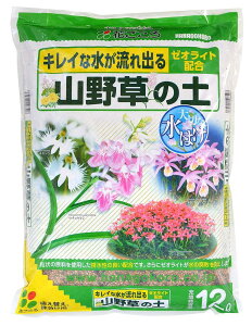 Ԃ R쑐̓y [ICgz 12L