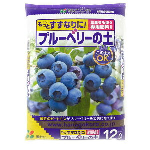 y11/10b}\b50̓P4{bXPAbvzԂ u[x[̓y Y҂gp z 12L ?