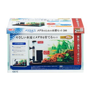 WFbNX GEX _JC _Ĵ߂̐Zbg300 _Jp݌v YEt琬