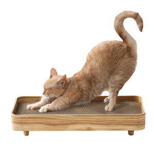 ACXI[} ܂Ƃ P[X CeA vCEbh PW-TC50 i`