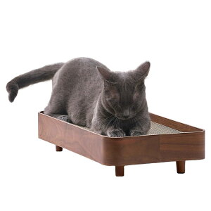 ACXI[}(IRIS OHYAMA) ܂Ƃ P[X CeA vCEbh PW-TC50 EH[ibg