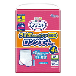 Aeg ^ p  c ԃOvX 4z M jp 20yΗĂEz