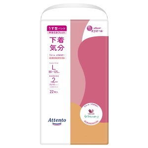 Aeg ^p c LTCY 22  C GK gsNׁ[W