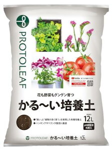 y11/1b_uf[b|Cg3{zvg[t ~|{y 12L