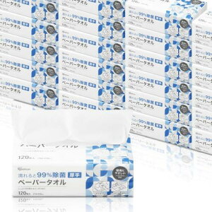 yP[X̔zACXI[} y[p[^I G99  120 30  @ | Lb` ח\h ~p hЗp @Ƃ₷ G{XH JPT-120