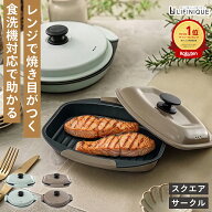 電子レンジ調理器 電子レンジ専用調理器 簡単調理 焼き魚 焼き目 焼く 蒸す 炊く 煮る 茹でる ほったらか…