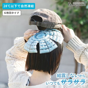 wbhN[ ACXLbv ڐG⊴  Ђ p ΍ MǑ΍ObY PCMf M ۗ ėp Hp ʊwp ʋΗp ėp 28xL[v   25cm s 25cm u[
