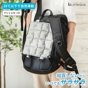 yő20%OFFN[| / X[p[SALE 4 20`zACXpbh wp bNp ڐG⊴ ܂肽 p ΍ MǑ΍ObY PCMf M ۗ ėp ʊwp ʋΗp ėp@s 2