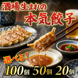 国産 冷凍生餃子 餃子ア太郎 自家製皮 もちもち 肉汁 にんにく控えめ 20/50/100個 お取り寄せ 焼き餃子 水餃子 ギフト 手土産（レビュークーポン配布中）