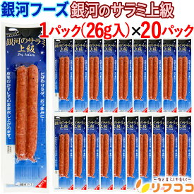 【回数制限無しのレビュー書いて10％OFFクーポン配布中♪】銀河フーズ 銀河のサラミ上級 1個(2本入り)×20個セット サラミソーセージ ドライソーセージ サラミ 上級サラミ 箱買い おやつ おつまみ 宅飲み 岩手 （メール便発送・追跡番号あり）