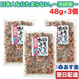 【楽天スーパーSALE期間限定 対象商品セール中】日本人ならたまらない。～漁師飯～ 48g×3個セット チャック付き袋