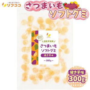 y񐔐̃r[10OFFN[|zzztRR Y ؃O~ g͂邩 ܂O~ Ă𕗖  1300gi63Oj_炩\tg^Cv \tgO~ 