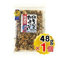 （賞味期限2026/5/27まで 在庫処分セール中）日本人ならたまらない 漁師飯 48g 1個（※メール便発送・追…