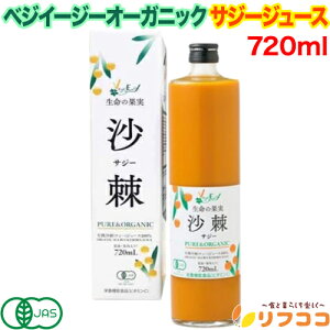 （賞味期限2026/12/8までの為 在庫処分セール中）有機JAS ベジイージー オーガニック サジージュース 100%