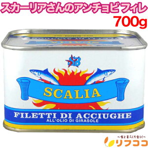 yyVX[p[SALEԌ Z[Wy[WݒuIzXJ[ÃA`r tB 700g ʓ V`AY Ɩp A`r  ۑH C^AY Ђ܂gp Hi B