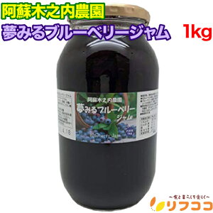 【プチプチ巻いて発送します】【回数制限無しのレビュー書いて10%OFFクーポン配布中♪】阿蘇木之内農園 夢みる ブルーベリージャム 1kg 低糖度ブルーベリージャム 果肉入り 国産 熊本県 阿