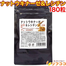 ナットウキナーゼ&レシチン 180粒 納豆キナーゼ 1袋 ナットウキナーゼ活性 43200FU配合 納豆菌 レチシン 大容量6カ月分（メール便発送）