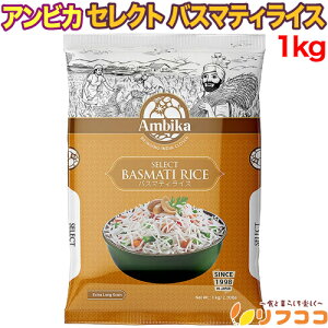 y񐔐̃r[10OFFN[|zzzArJ ZNg oX}eBCX 1kg ChY Ambika Ch CfBJ rj  n pbƂH ъ