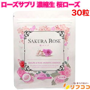 y񐔐̃r[10OFFN[|zzz[YTv Zk [Y 30 L΍ L\h ZƂ` ƃ[Y̍i[֔EǐՔԍLj