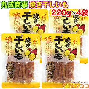 y񐔐̃r[10OFFN[|zzzې Ă 220g×4܃Zbg V ܂ R Â _炩 ԊO  Ă   XeBbN R 