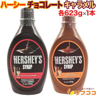 HERSHEYS ハーシー チョコレートシロップ 623g キャラメルシロップ 623g 2種アソートセット 各1本 計2本…
