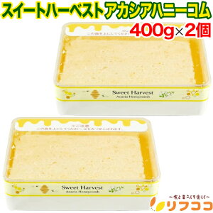 y񐔐̃r[10OFFN[|zzzXC[gn[xXg AJVAnj[R 400g×2Zbg ݂͂  Rnj[ nK[