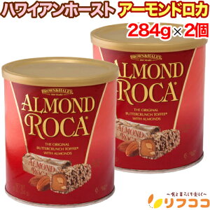 y񐔐̃r[10OFFN[|zzznCAz[Xg A[hJ LjX^[ 284g(23)×2Zbg o^[N` ʓ Mtg yY َq A