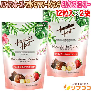 y񐔐̃r[10OFFN[|zzznCAz[Xg }J_~A A\[gN` ~NXgx[ 1(12)×2܃Zbg o}Lp yY Aَq `