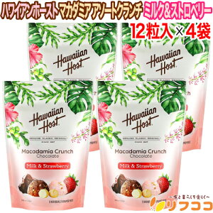 y񐔐̃r[10OFFN[|zzznCAz[Xg }J_~A A\[gN` ~NXgx[ 1(12)×4܃Zbg o}Lp yY Aَq `