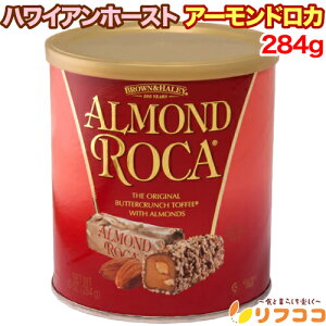 y񐔐̃r[10OFFN[|zzznCAz[Xg A[hJ LjX^[ 284g(23)  o^C zCgf[ NX}X َq Aَq `