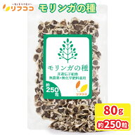 【楽天スーパーSALE期間限定 対象商品セール中！】リフココ モリンガ 種 80g(約250粒前後入り)インド産 …