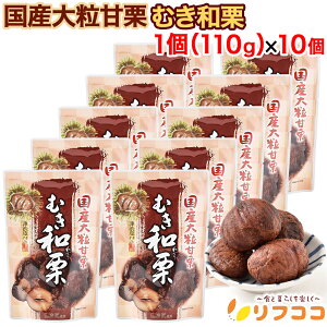 y񐔐̃r[10OFFN[|zzzY嗱ÌI ނaI 1(110g)×10Zbg at 錧Y嗱I100gp ې aIۑsgp Fsgp ނ