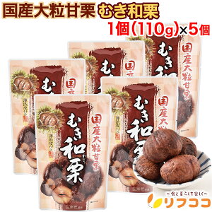 y񐔐̃r[10OFFN[|zzzY嗱ÌI ނaI 1(110g)×5Zbg at 錧Y̑嗱I100gp ې aI ۑsgp Fsgp ނ