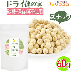 yyVX[p[SALEԌ ΏۏiZ[IztRR K hC@̎ XibN 1(60g)}^jeBt[hF菤i Hׂ @̎XibN ͂̎ X[p[t[h 