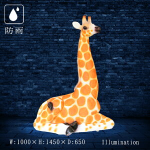 Ɩp C~l[V  `[t 3D  Aj} NX}X O hJ LED i`} L C