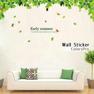 EH[XebJ[  A 킢 X   O[ p \Ă͂ CeAV[ Wallsticker