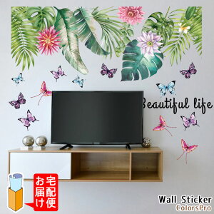 EH[XebJ[  A 썑 O[  Xe AJV V̗t ͂ Ǐ JtF CeAV[ Wallsticker EH[V[ EH[V[g