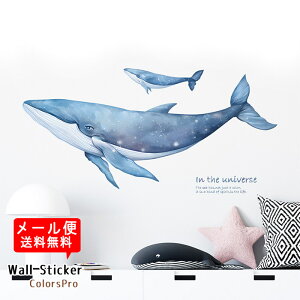 EH[XebJ[  ~ C C j  ͂ Ǐ JtF CeAV[ Wallsticker EH[V[ EH[V[g [