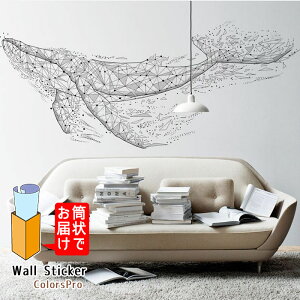 EH[XebJ[  ~ C 􉽊w͗l SF _Ȃ CA[g mN ͂ Ǐ JtF  킢 CeAV[ Wallsticker EH[V[ EH[V[g
